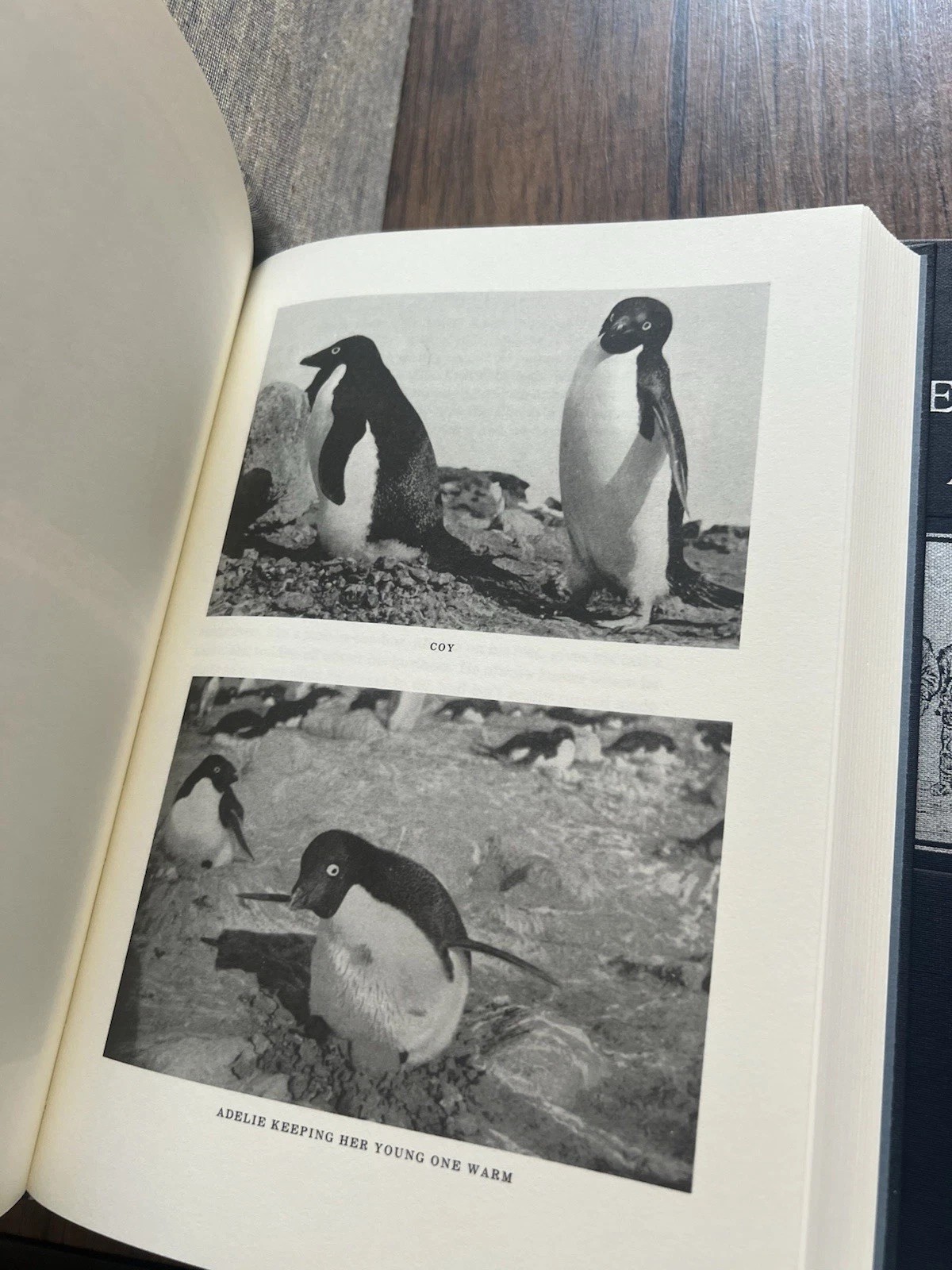 Shackleton’s Antarctica – Ernest Shackleton – Folio Society – 2022 1st ed. – VGC