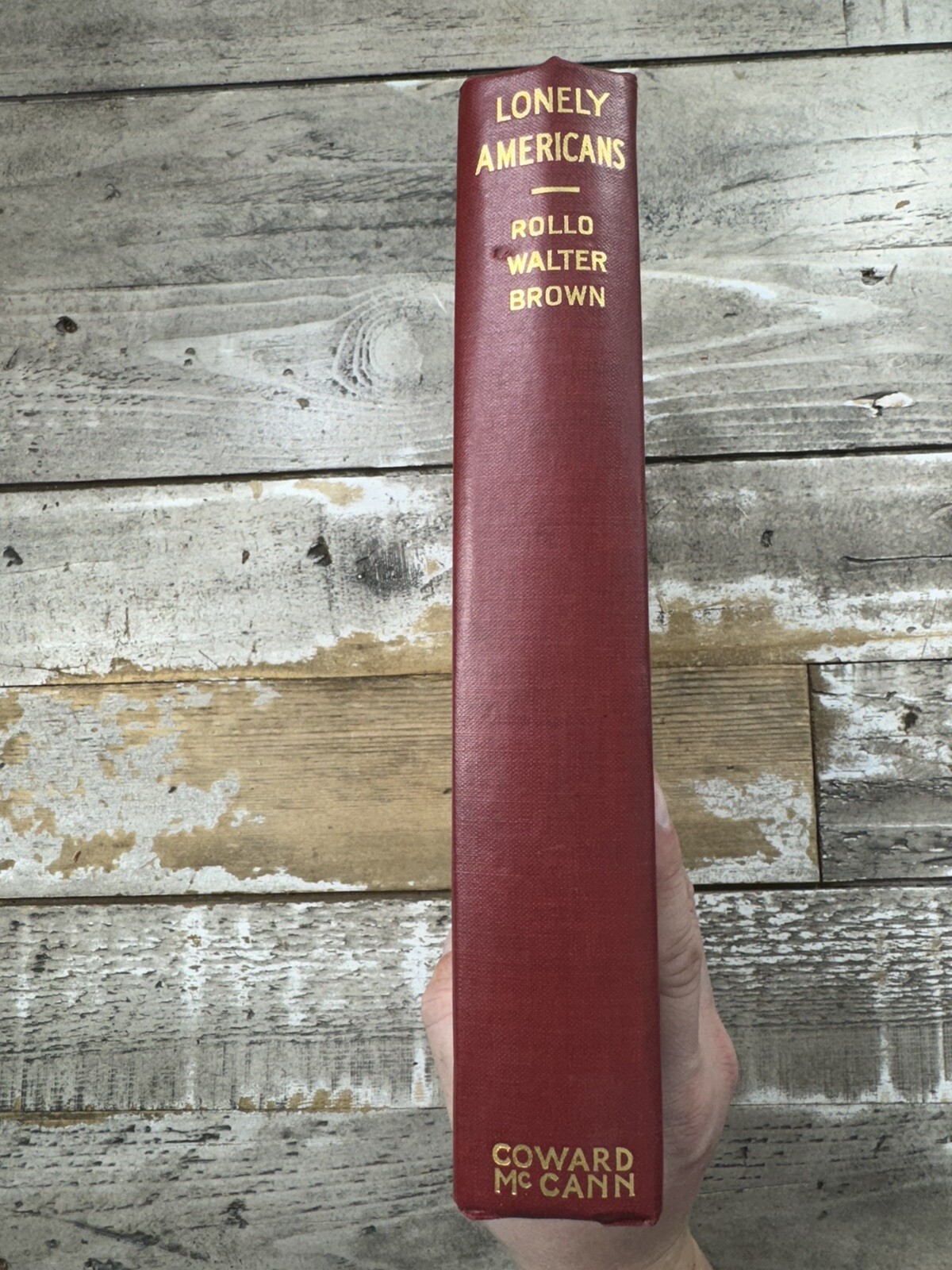 1929 Antique Biographical Book „Lonely Americans“ Illustrated