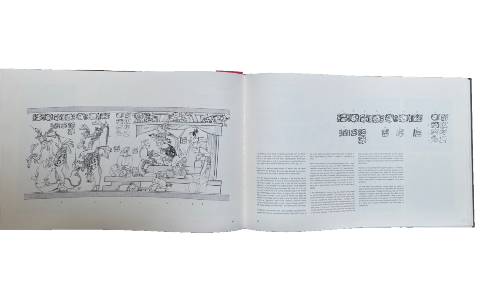 The Maya Scribe and His World