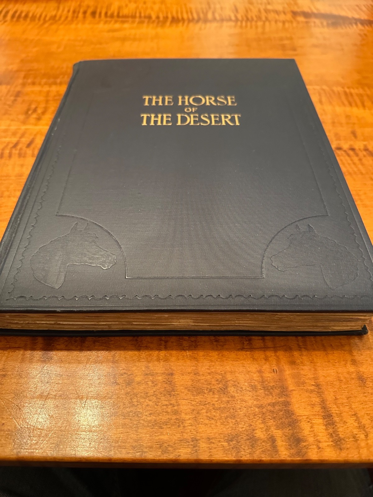 Vintage — 1936 — „The Horse of the Desert“ by William Robinson Brown