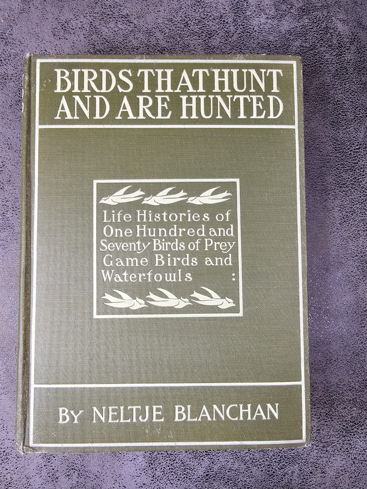 1904 Birds That Hunt and Are Hunted Neltje Blanchan Waterfowl Color Plates