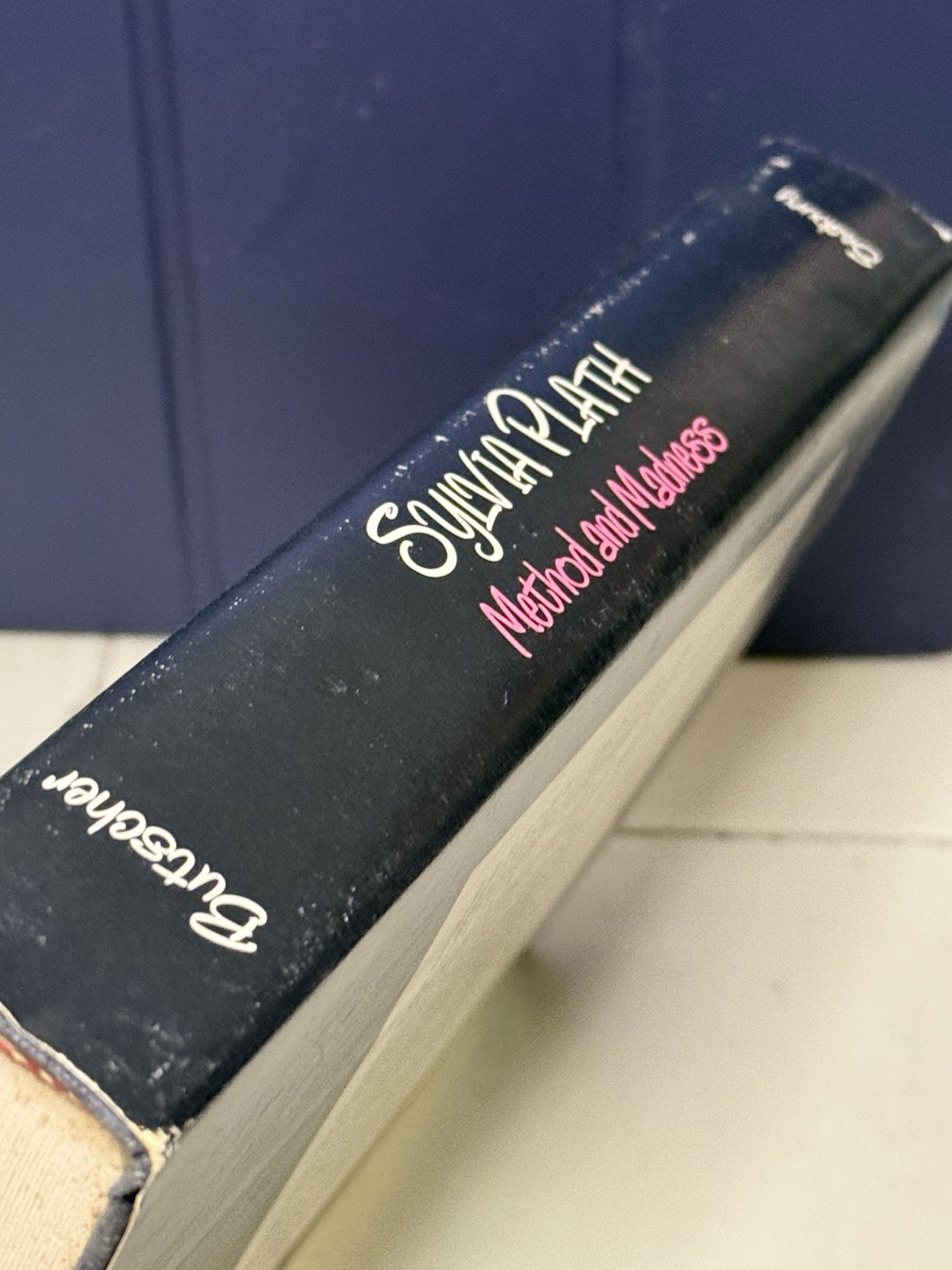 Edward BUTSCHER / Sylvia Plath Method and Madness 1st Edition 1976