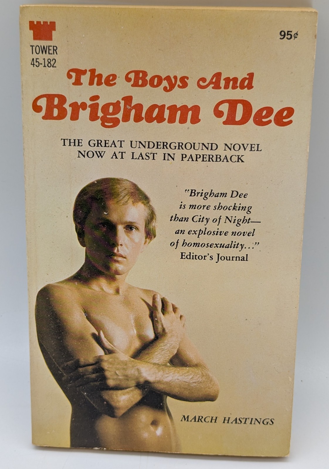 The Boys and Brigham Dee March Hastings Vintage Tower 45-182 Gay Pulp Paperback
