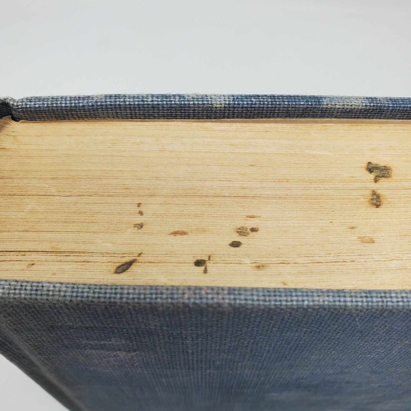 Berlin Diary Journal of a Foreign Correspondent 1934 – 1941 First Edition 1st