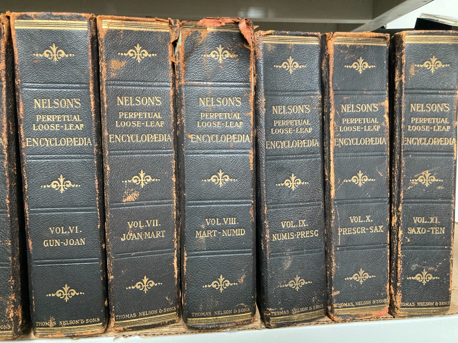 Nelson’s Loose-Leaf Encyclopedia 12 Vol Set Antique 1905–1918 Illustrated