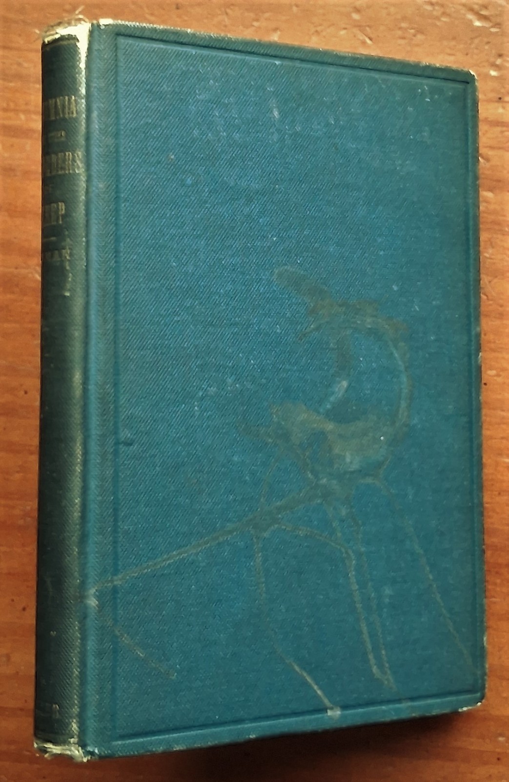 INSOMNIA & Other Sleep Disorders Henry M Lyman 1885 Dreams Sleepwalking Hypnosis