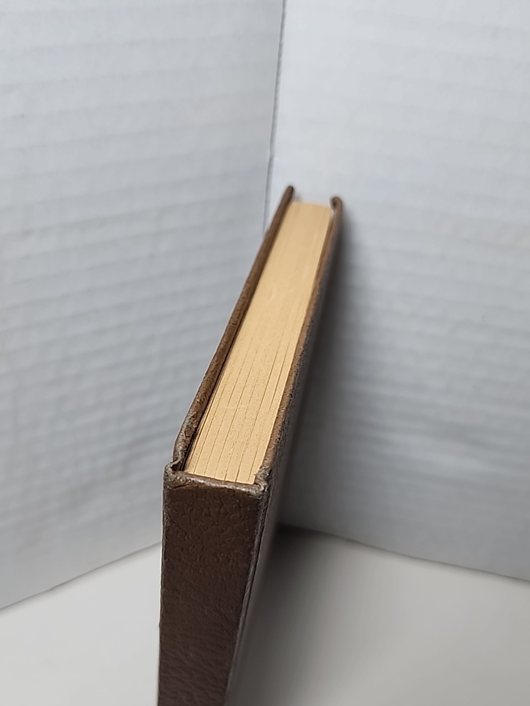 Witman Publishing 1940s Everyday Diary Journal Unused Book RARE Brown Vtg