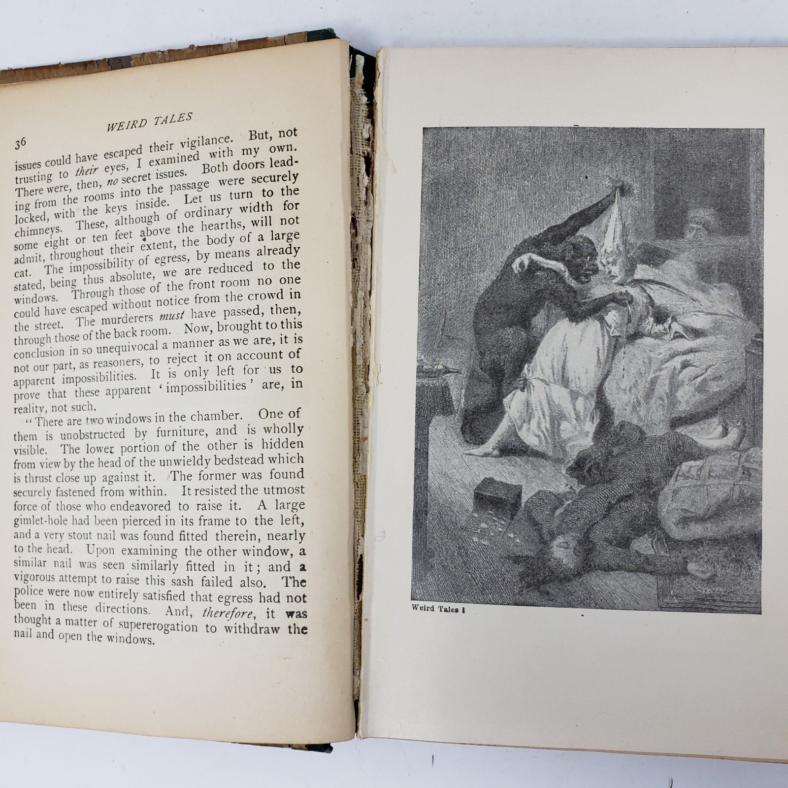 Weird Tales by Edgar Allan Poe (1895, Henry Altemus, Illustrated)