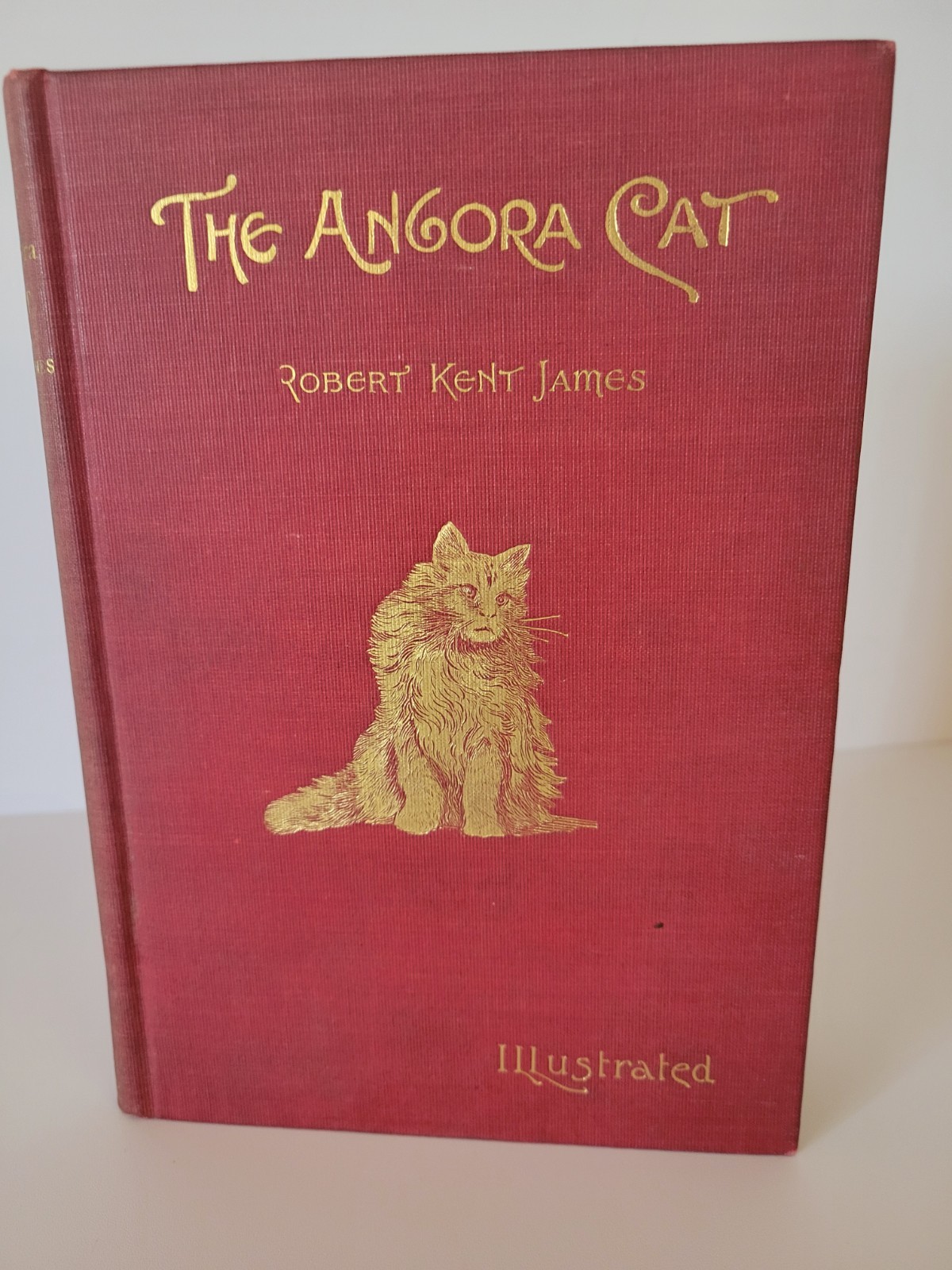 Antique Vintage The Angora Cat Book Hardcover Robert Kent James 1898 1st Edition