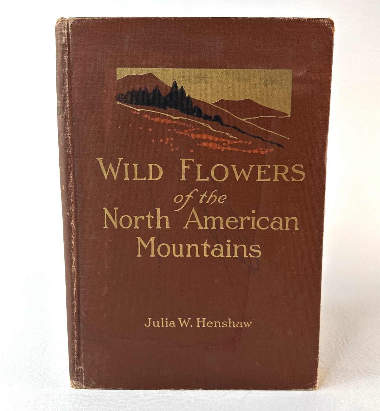 Wild Flowers of the North American Mountains BY Julia W Henshaw VINTAGE 1915