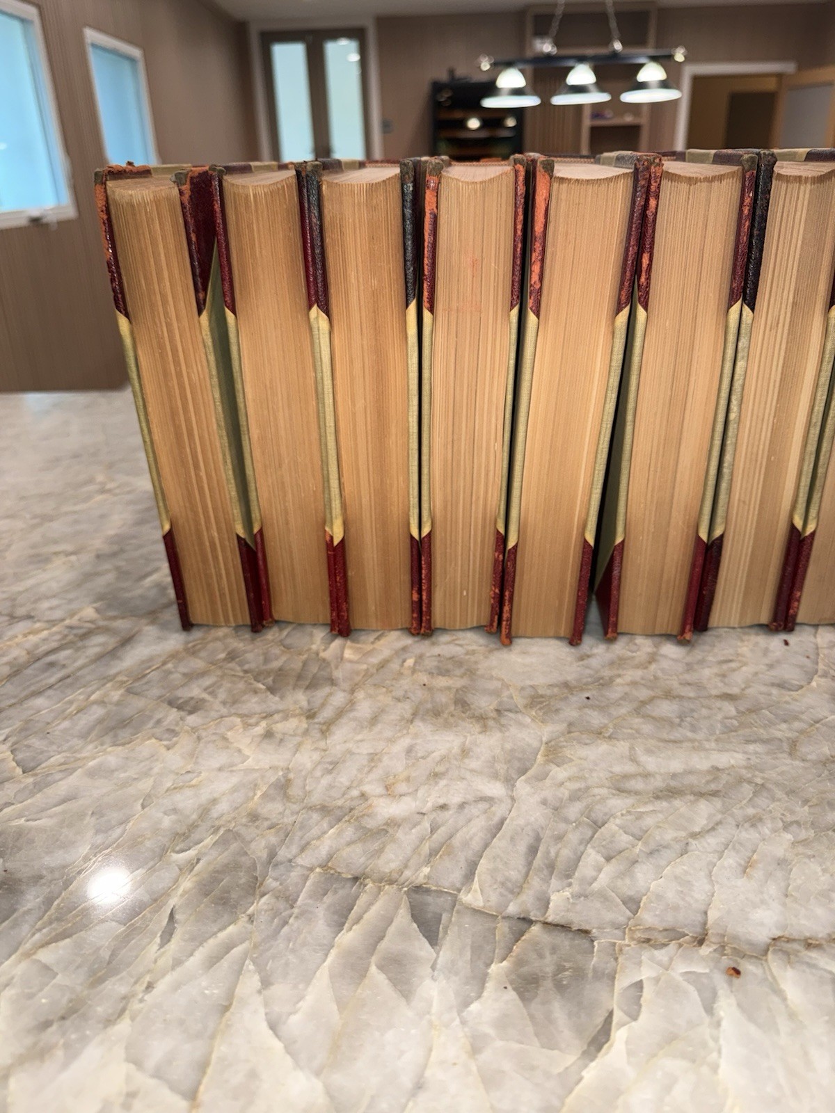 Antique 1902 Young Folks Library 19 Vol Set Hall & Locke Victorian Red Gilt Bind