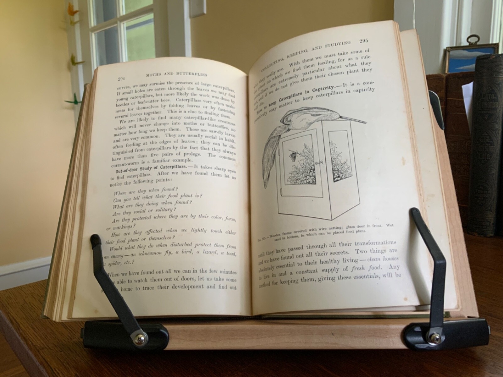 1901 Moths and Butterflies By Mary C. Dickerson – Illustrated