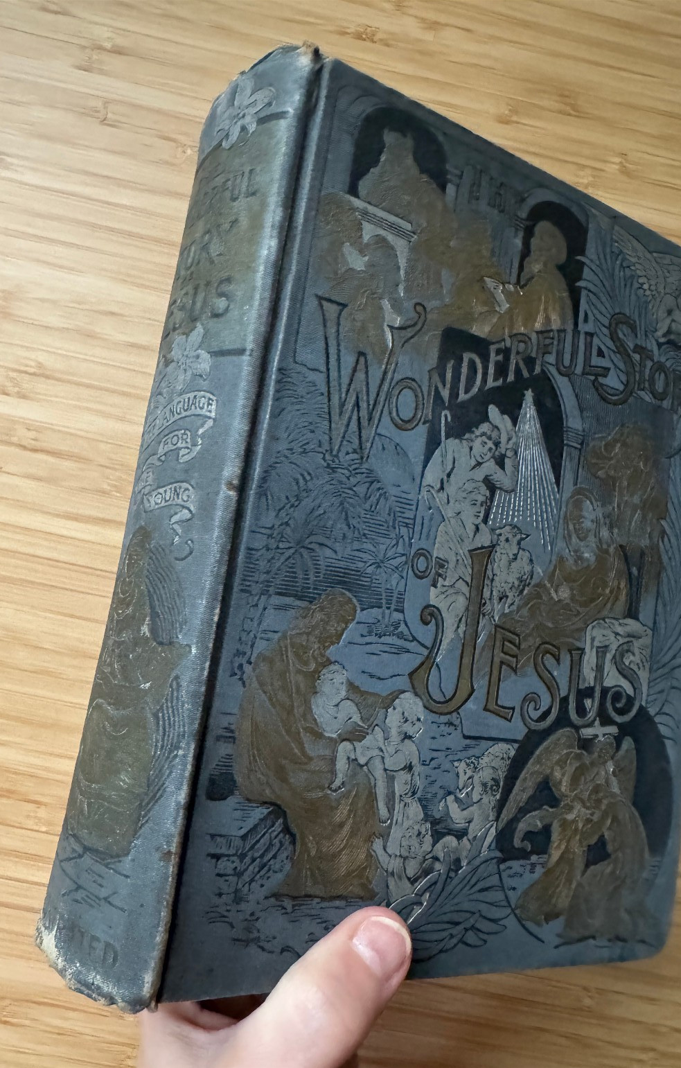 The Wonderful Story of Jesus 1890 200 Youth Children’s Christianity Art Bible