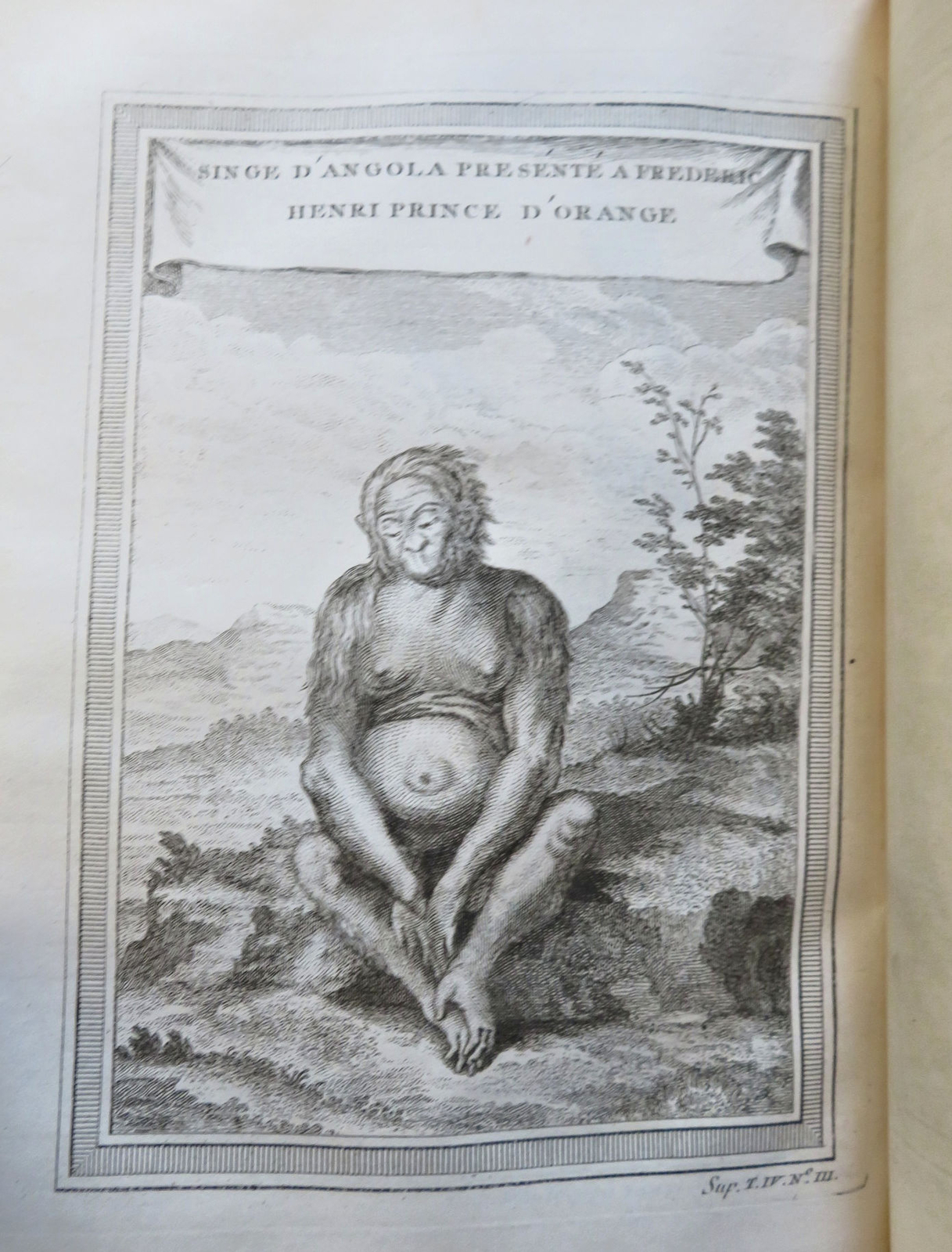 West Africa Ivory Coast Exploration History Voyages 1747 leather book 35 plates