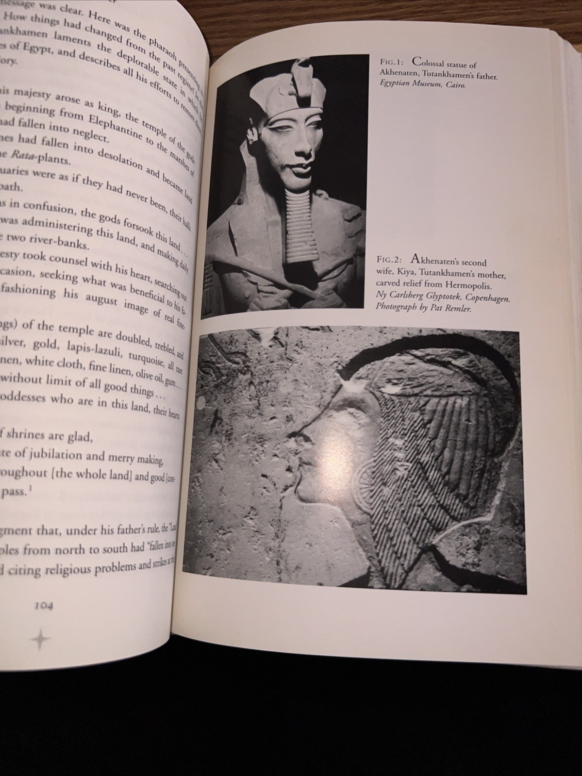 The Murder of Tutankhamen By Bob Brier 1998 1st/1st Ex Library