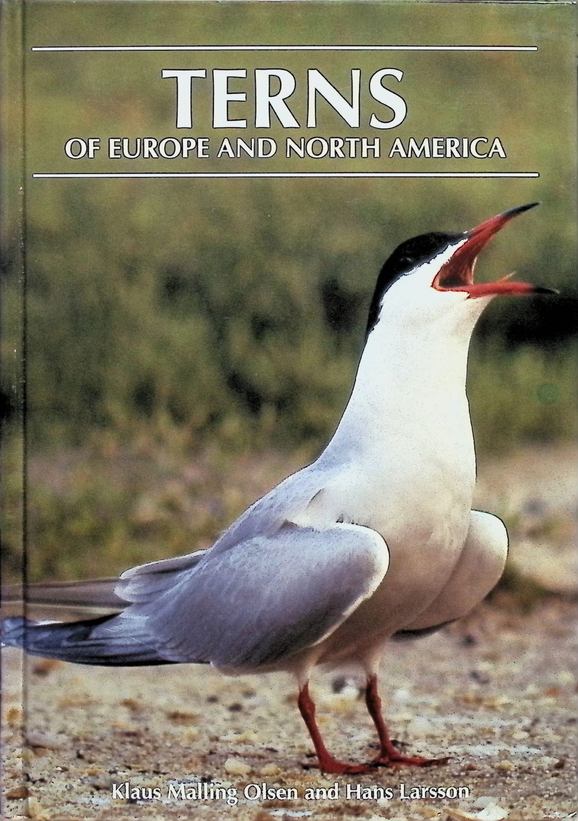 Klaus Malling, Hans Larsson / Terns of Europe and North America Olsen 1995