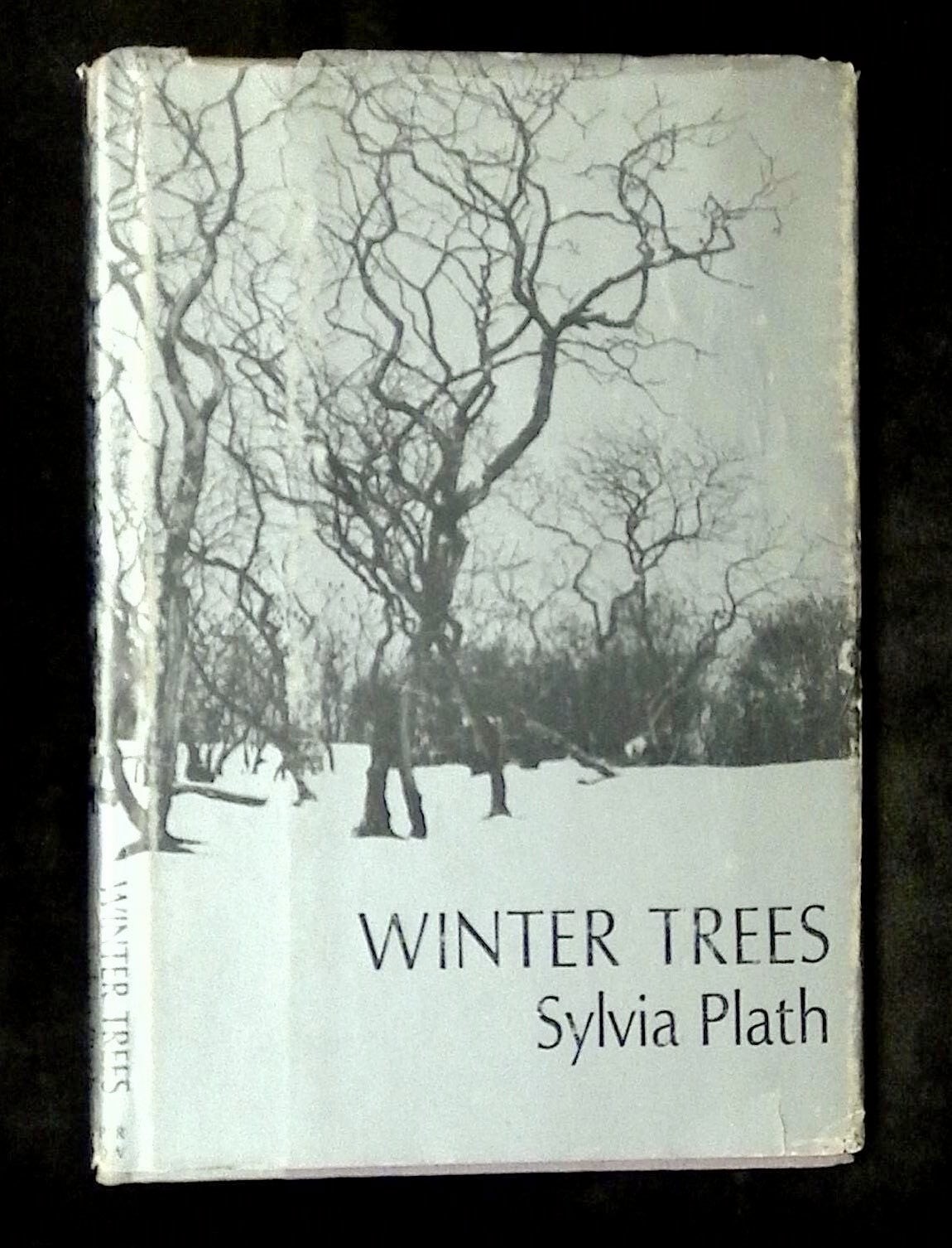 Sylvia Plath / Winter Trees 1st Edition 1972