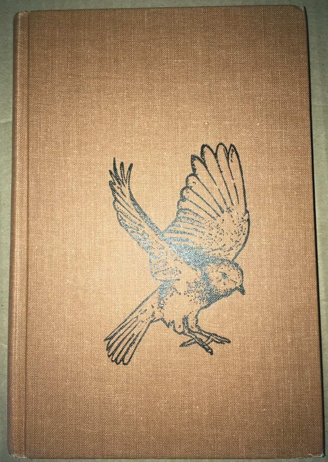 I WENT TO THE WOODS RONALD AUSTING 1964 FIRST AMERICAN EDITION COWARD-MCCANN