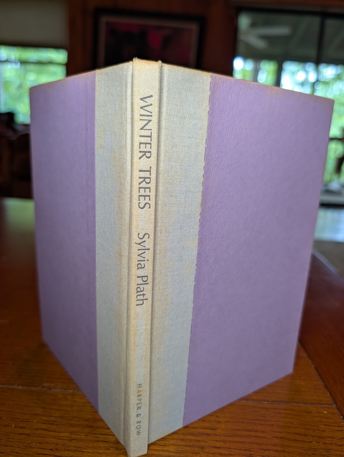 Sylvia Plath Winter Trees 1972 First U.S. Edition HC DJ Harper & Row Ariel
