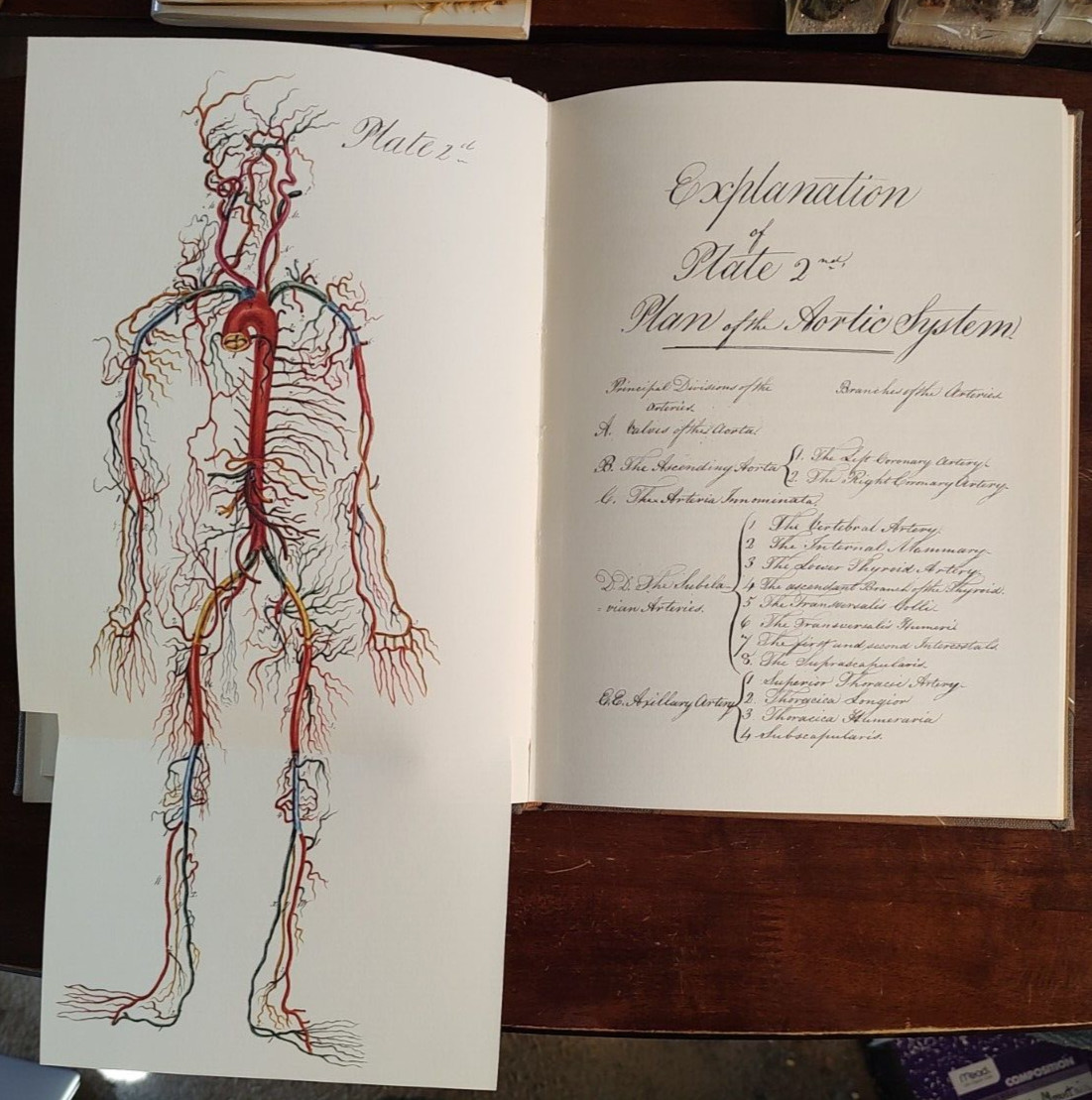Bell Manuscript, Engravings of Arteries, #779/2,500, + Folio Vol 1 #2, Fine Cond