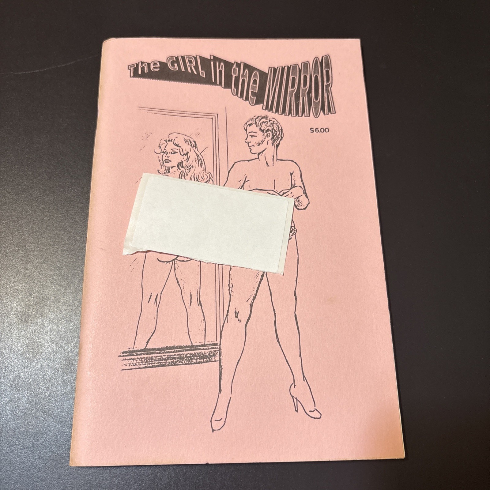 Transvestite Stories Softcover Adult X LGBTQ+ 1990 The Girl In The Mirror Trans
