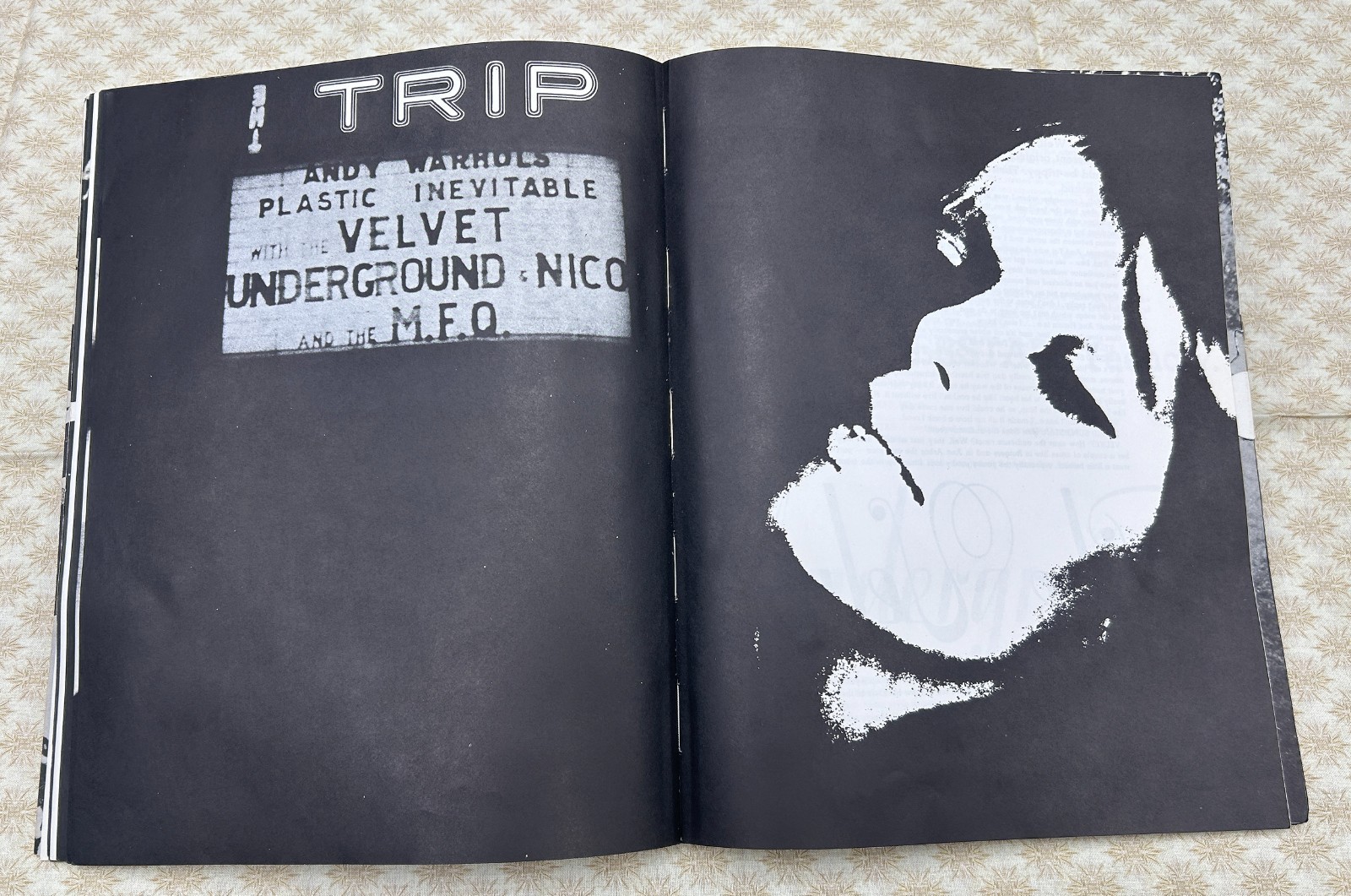 Andy Warhol 1967 First Edition Softcover “Index Book”