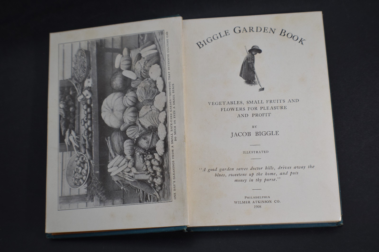 1908 *FIRST* Biggle Garden Book: Vegetables, Small Fruits & Flowers