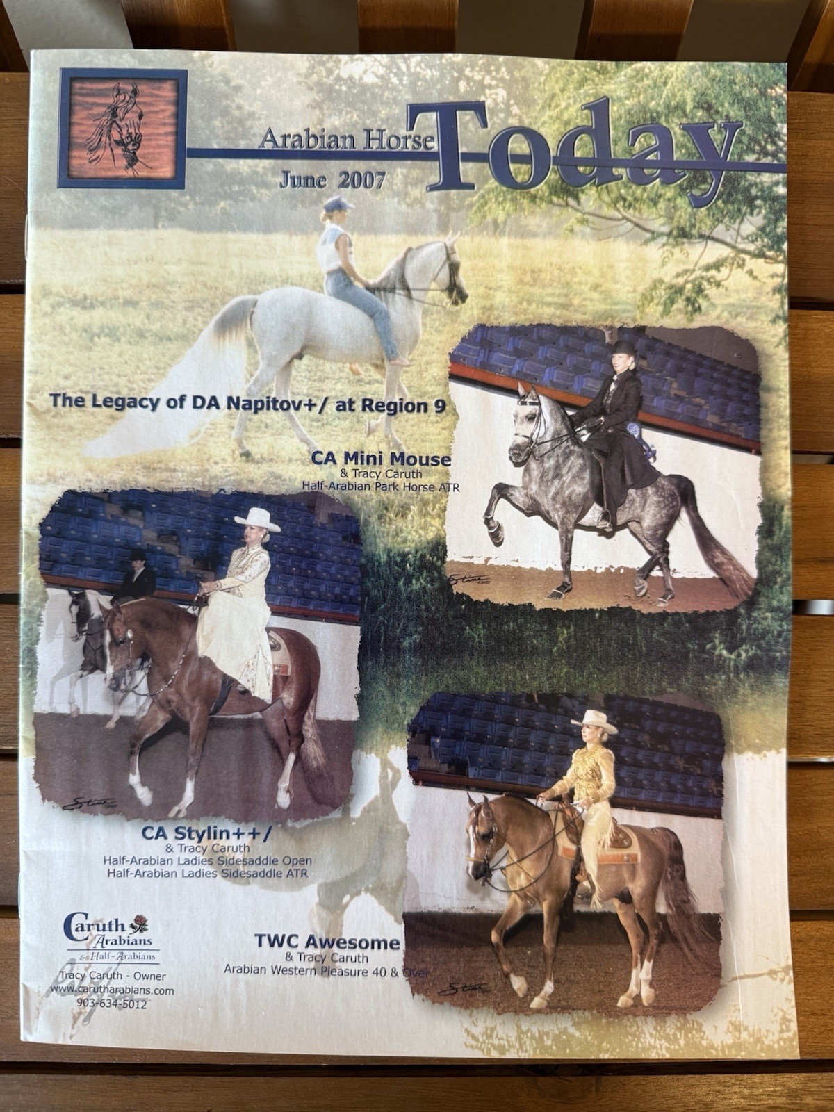 VTG Arabian Horse Today June 2007 Issue 30 Pages Equestrian Magazine