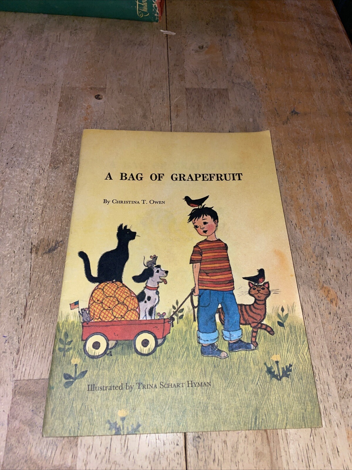 A Bag Of Grapefruit by Christina T. Owen 1970 PB Book United Church Press