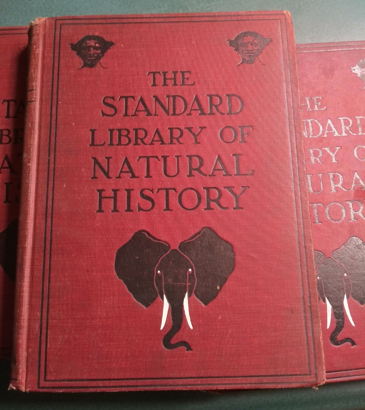THE STANDARD LIBRARY of NATURAL HISTORY 5 Volume Set 1911 HC, University Society