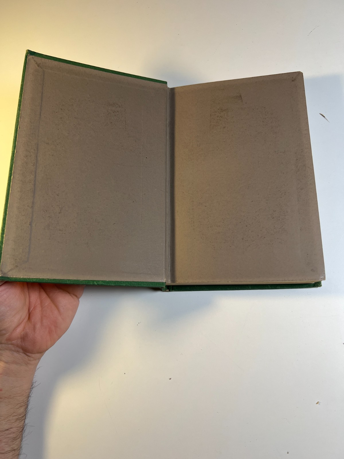 Antique 1884 “Half-Hours In The Green Lanes” Victorian Nature Book Ornate Gilded