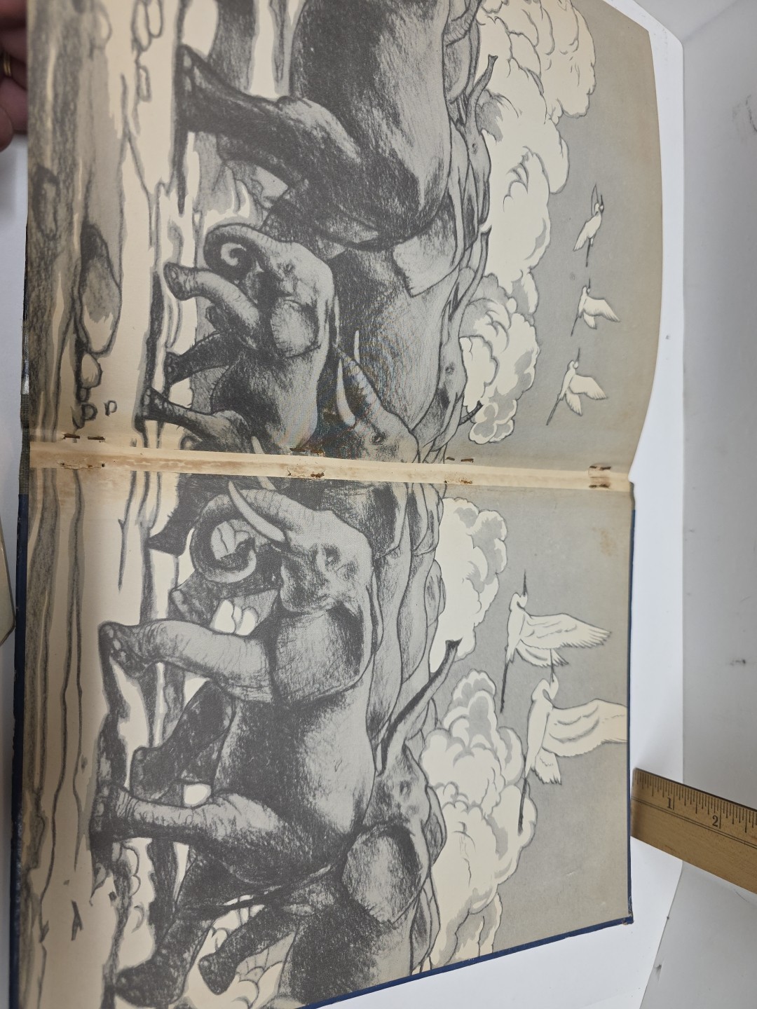 1941 Pantaloons Adventures of a BABY Elephant by Osa Johnson 1st Edition RARE!