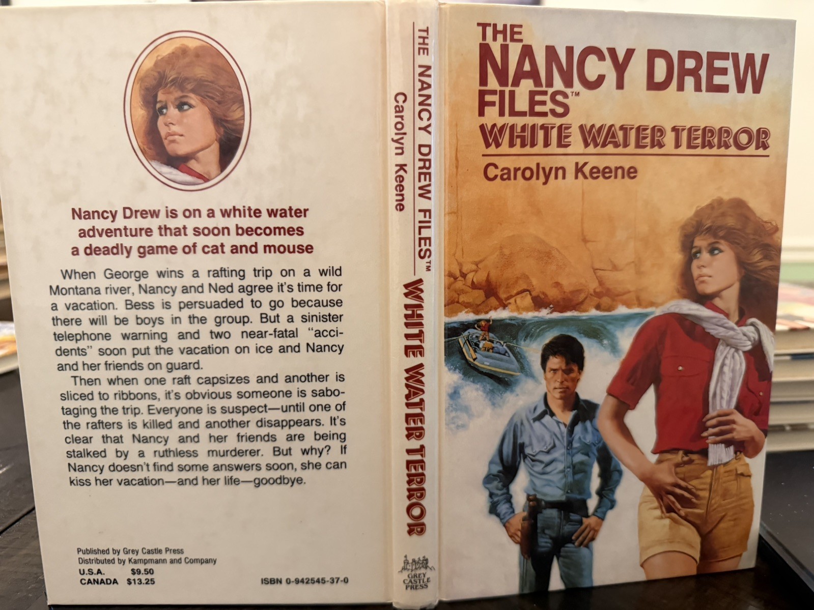 Nancy Drew Files – Hardcover Complete 10 Book Set Grey Castle Press Like New