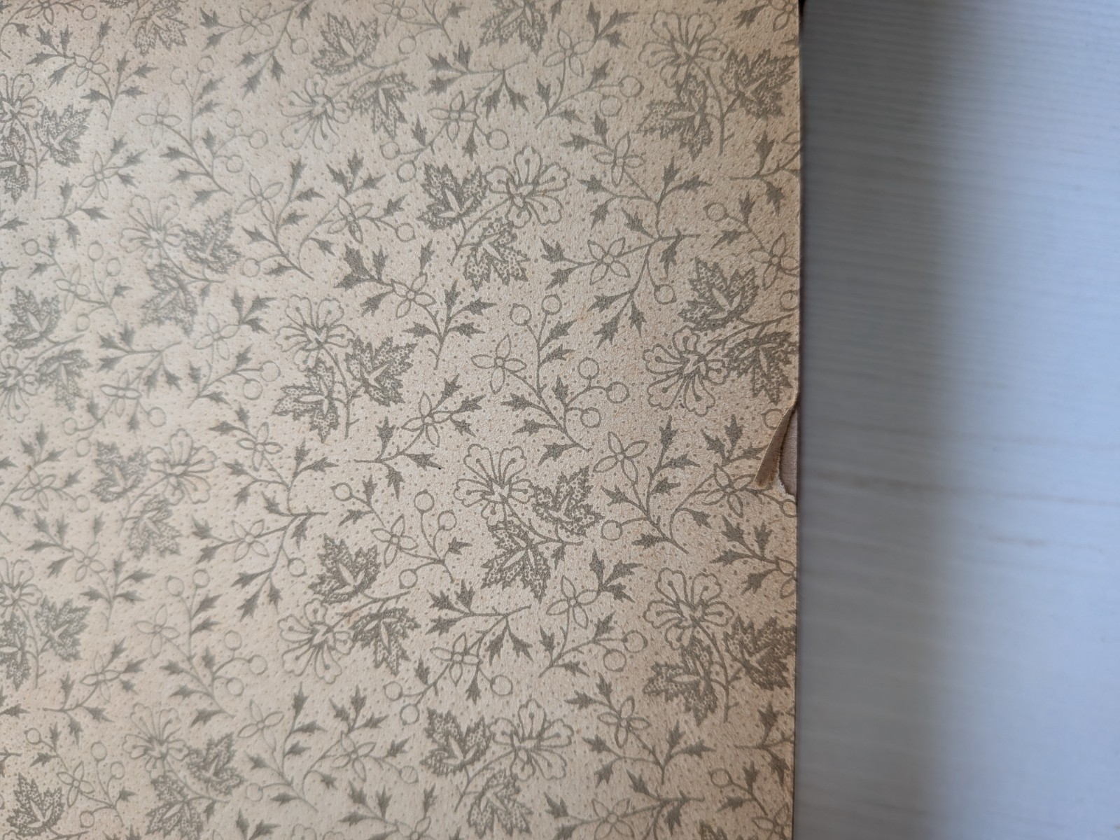 The Pilgrim’s Progress by John Bunyan – 1896 – Illustrated by Frederick Barnard