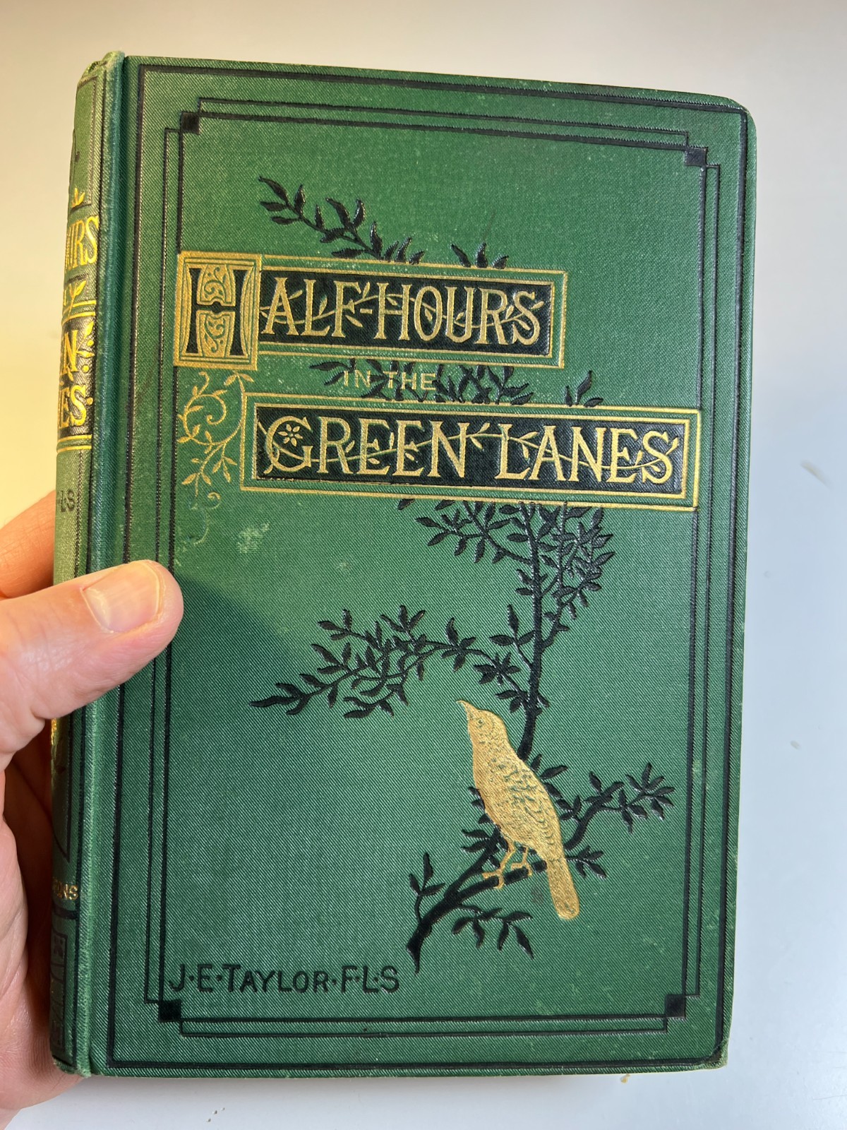 Antique 1884 “Half-Hours In The Green Lanes” Victorian Nature Book Ornate Gilded