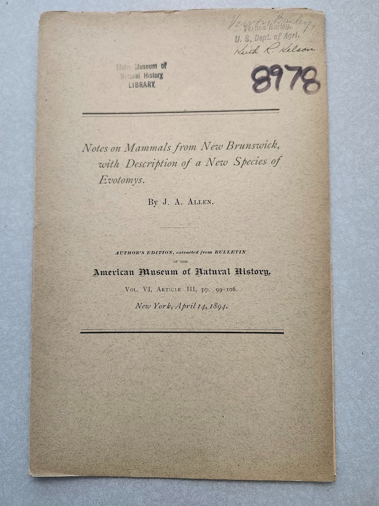 Notes on Mammals New Brunswick Description New Species Evotomys J. A. Allen 1894