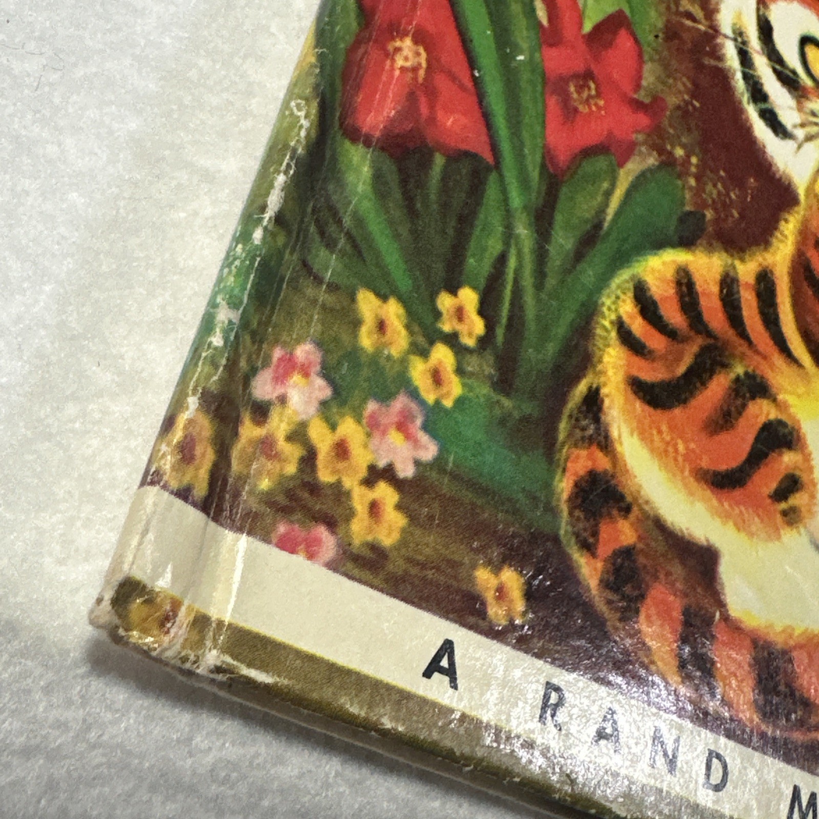 Timothy, Tiger By Marjorie Barrows Vintage Children’s Storybook First Edition