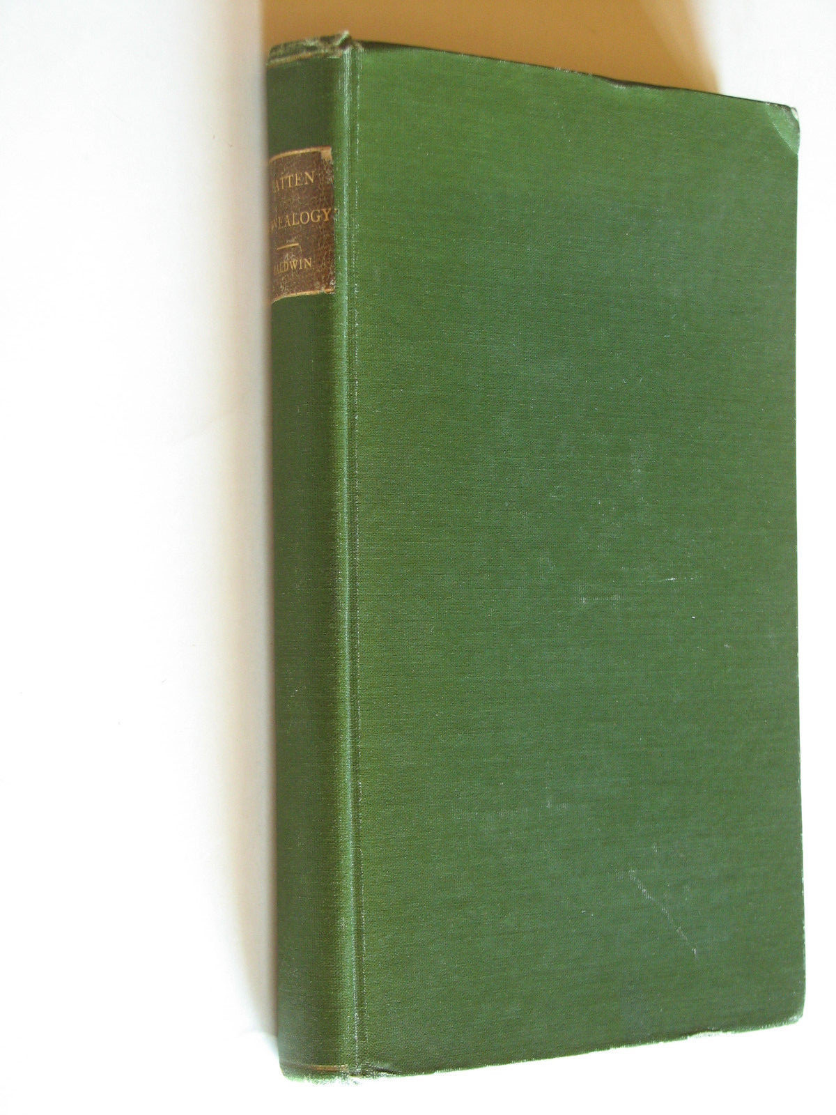 William Patten of Cambridge, MA and His Descendants Genealogy 1908 first