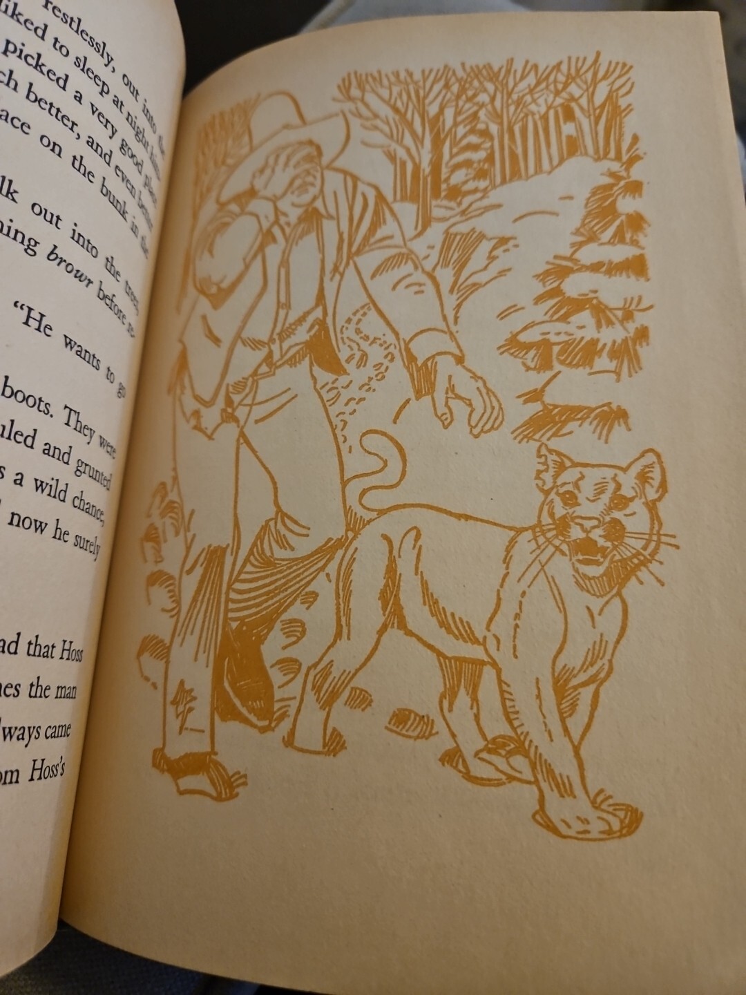 Bonanza Killer Lion 1966 Hardcover Book TV Show Photo Cover Whitman