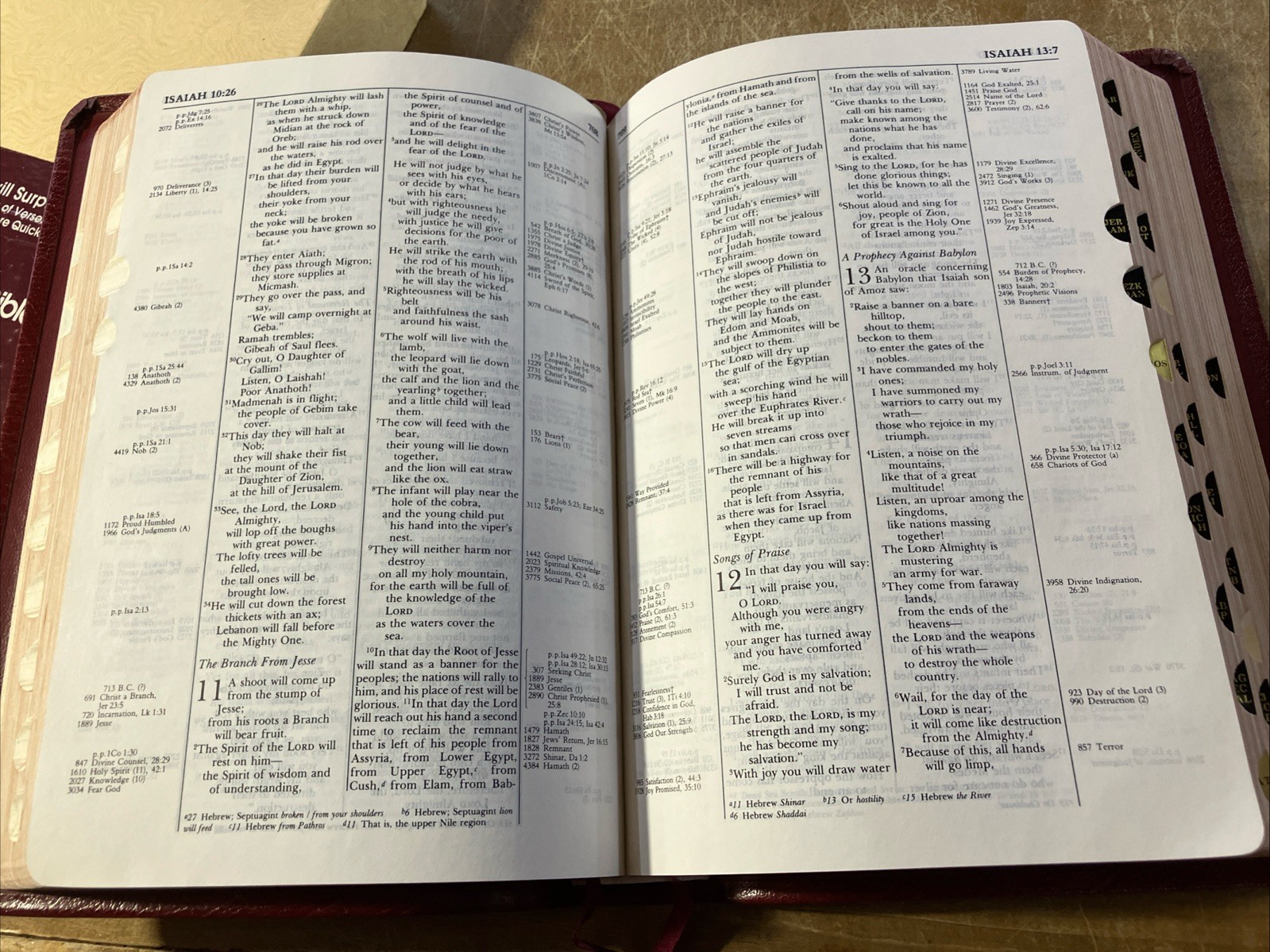 Thompson Chain Reference Bible NIV 1978 1983 Pre 1984 Genuine Calfskin Leather