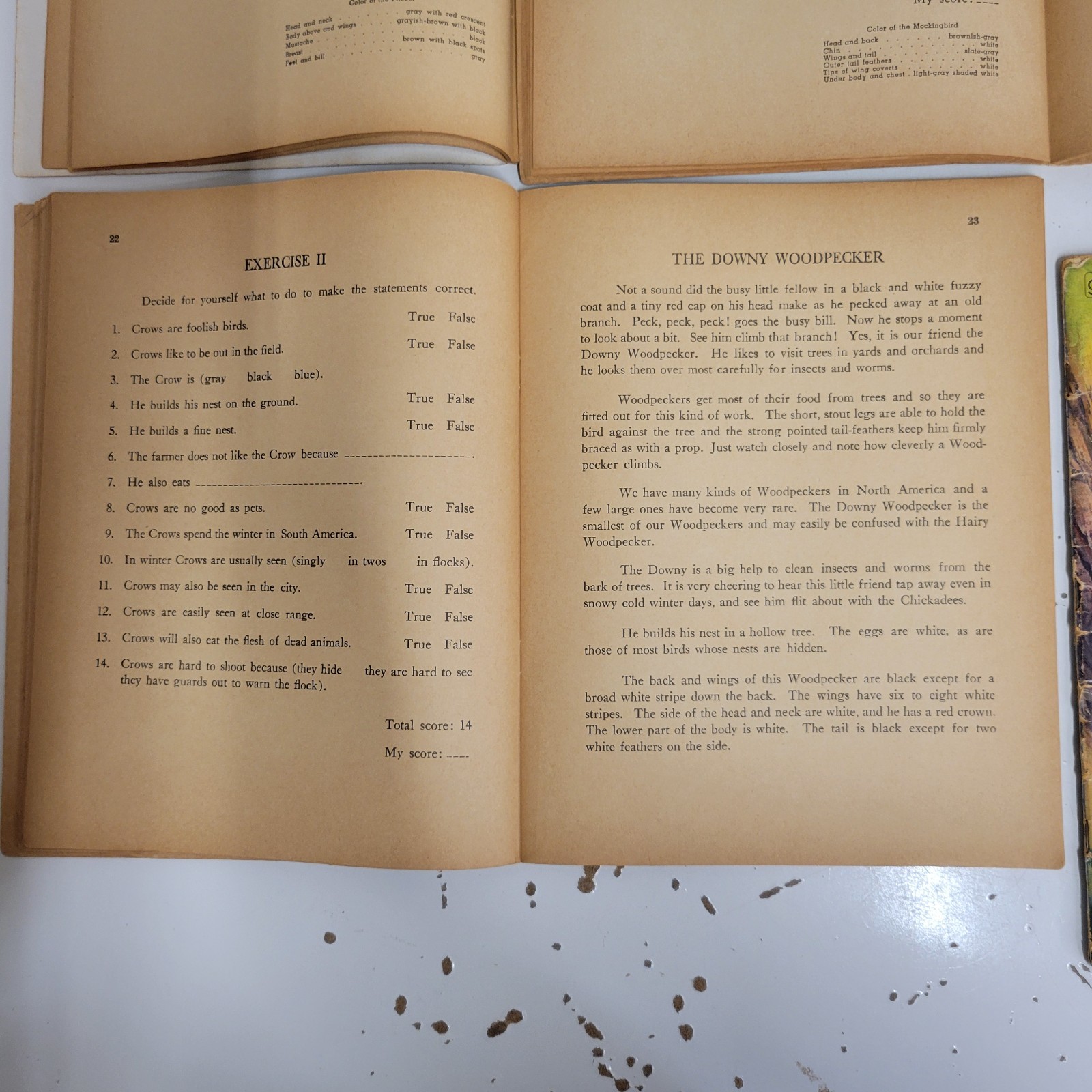 VTG Lot Of 4 Birds Activity Books 1, 2, 3 1938 1954 & Golden Book Of Bird Stamps