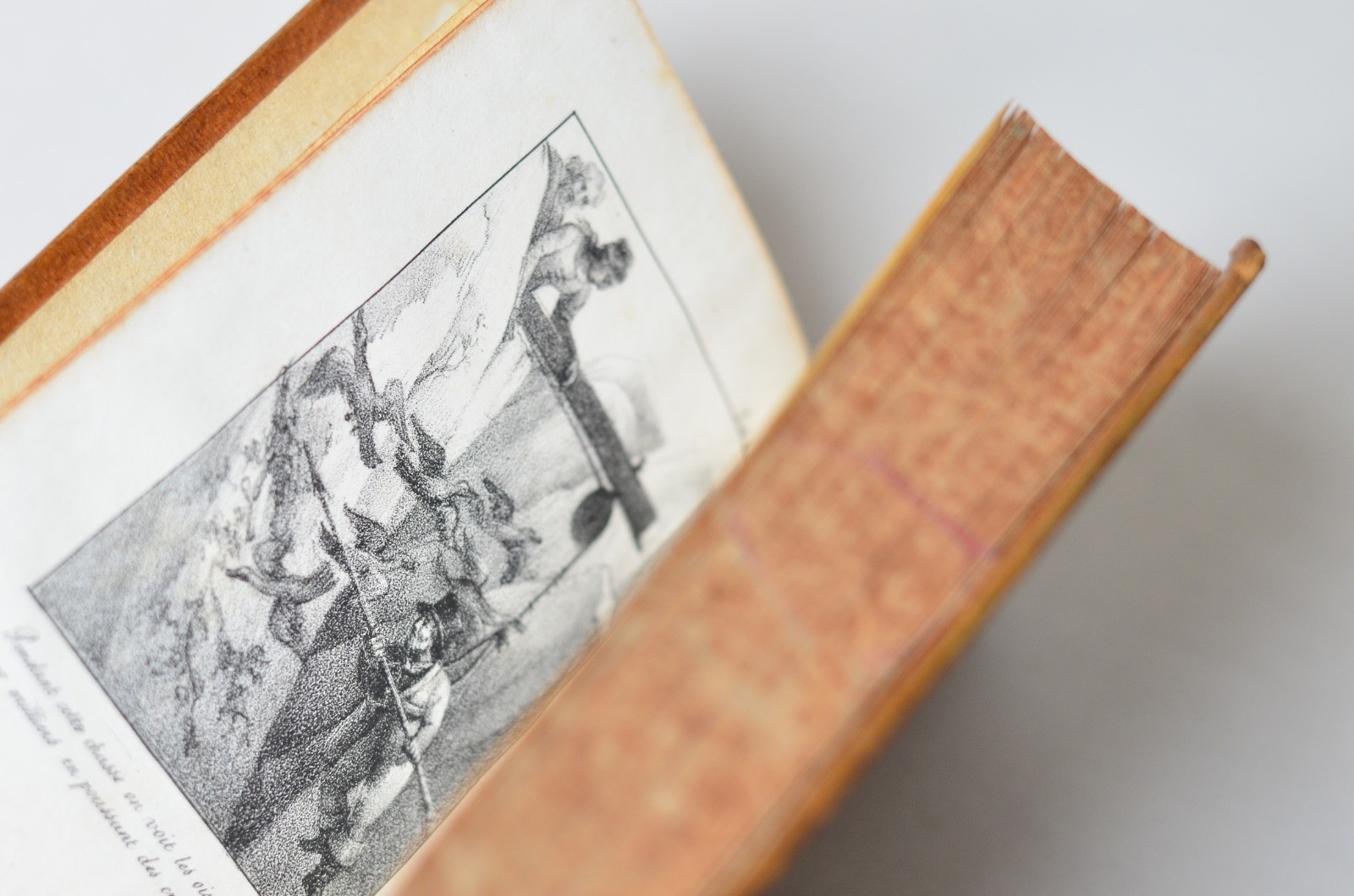 Antique History of Voyages by Jean-François de La Harpe 1822 Arctic Exploration