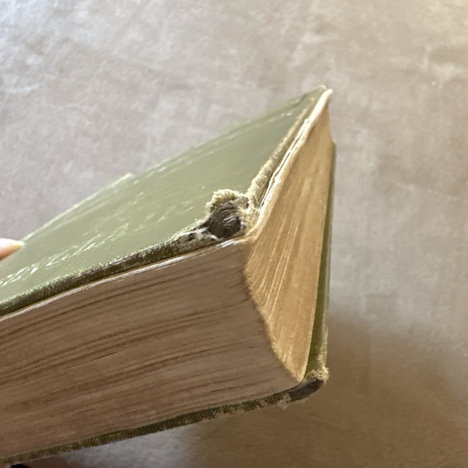The Jungle Upton Sinclair Book 1906 1st ed 1st Printing February Antique