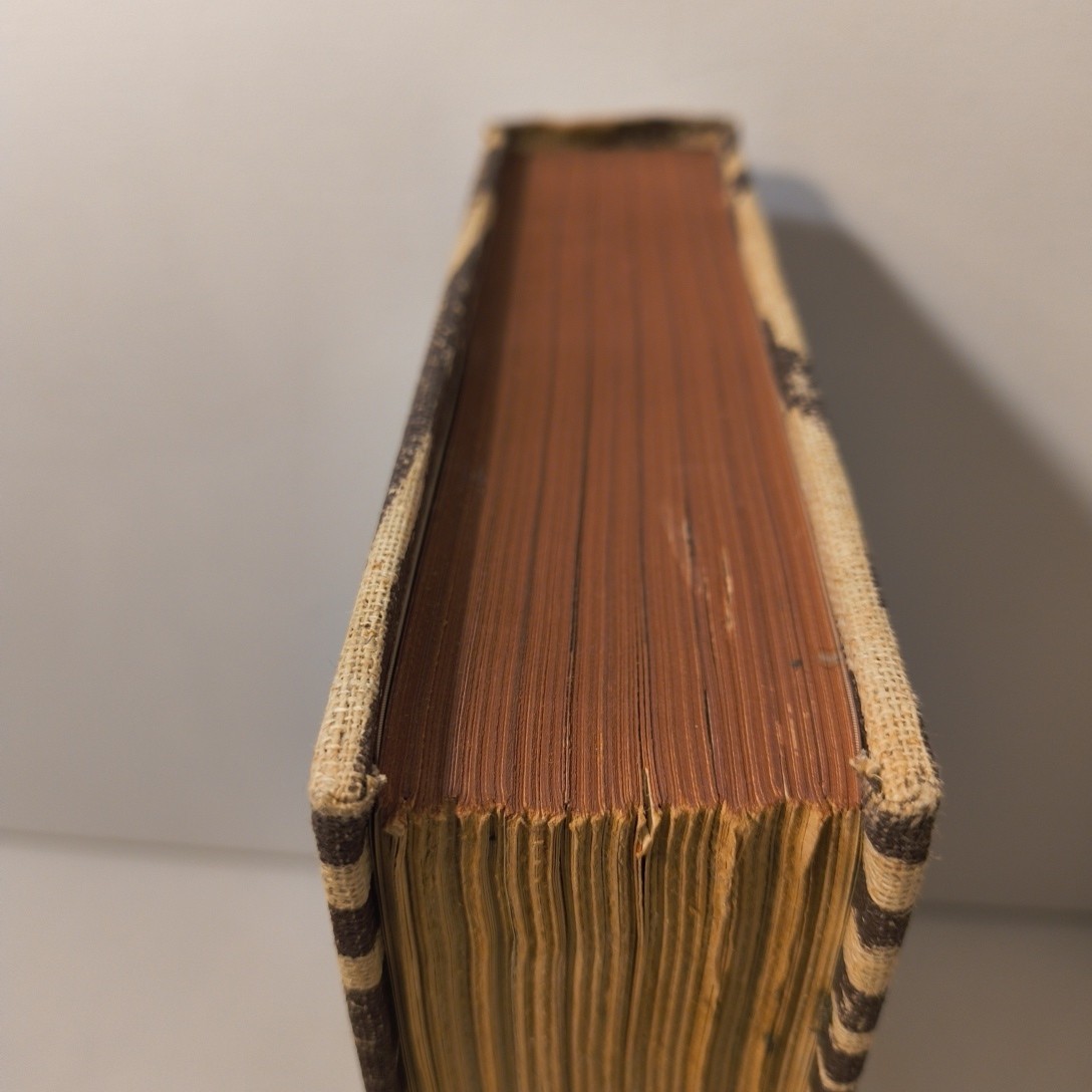 I Married Adventure Hardcover By Osa Johnson Illustrated 1940 Zebra Cover Print