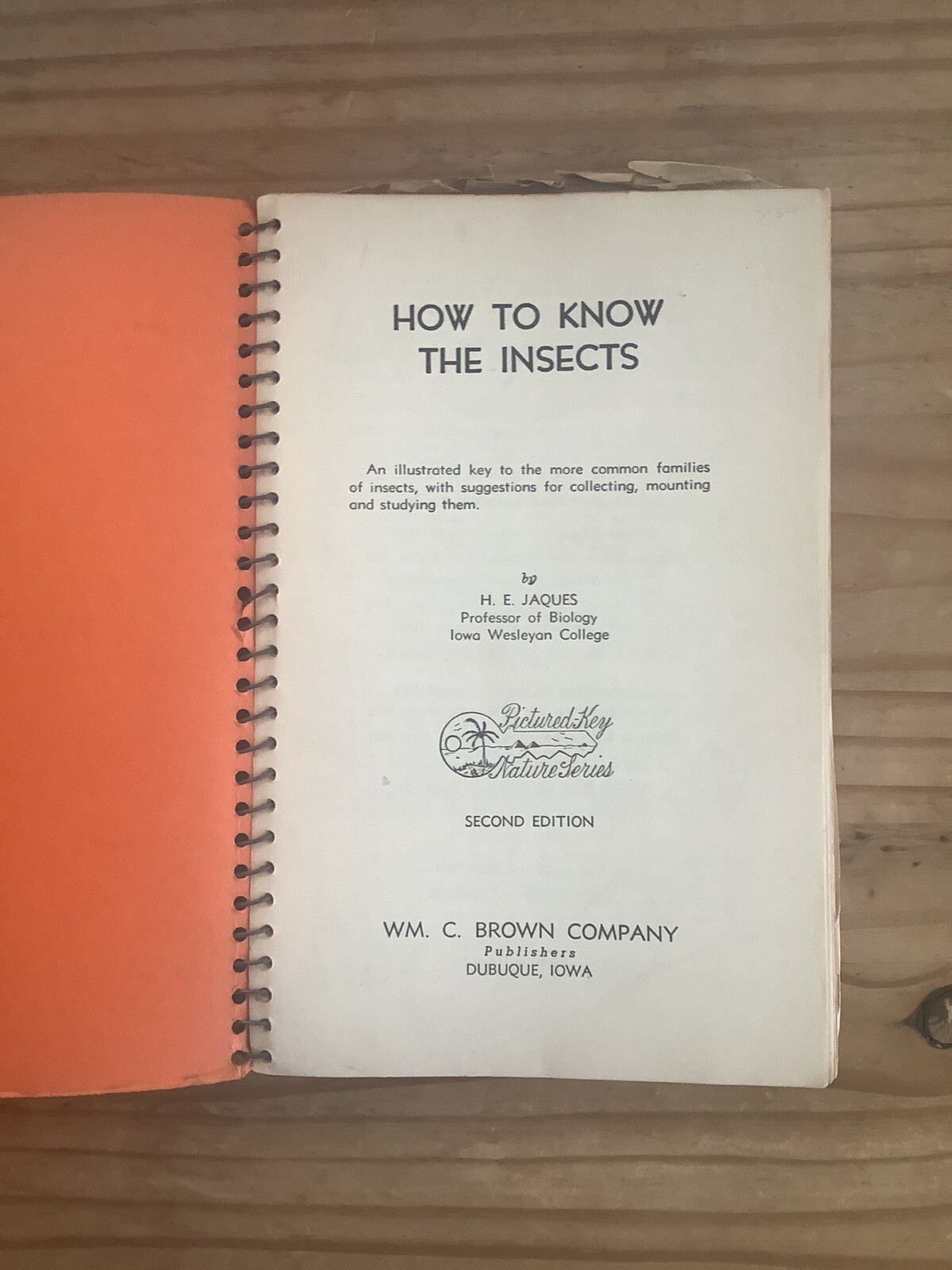 How To Know The Insects Revised Edition 2nd Edition Spiral & Cloth Binding