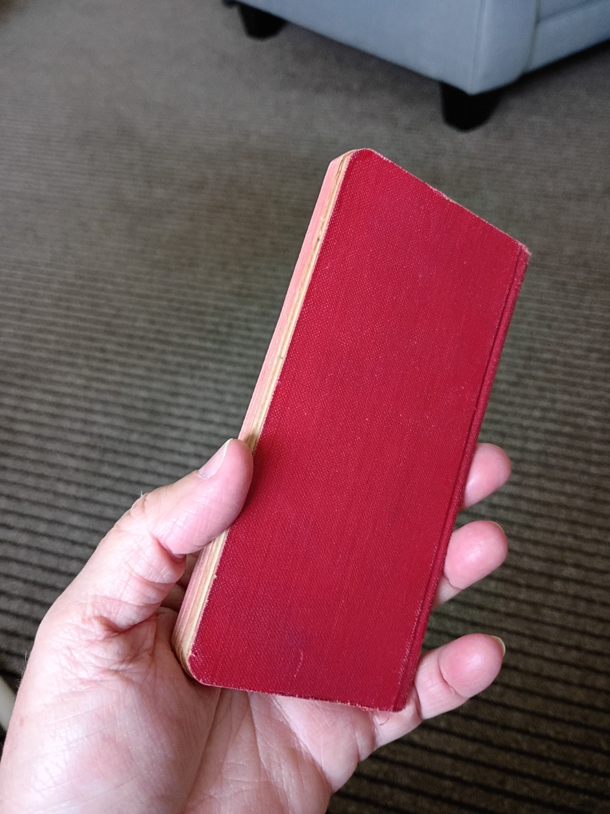 Small Pocket Purse Antique Devotional Book Softcover