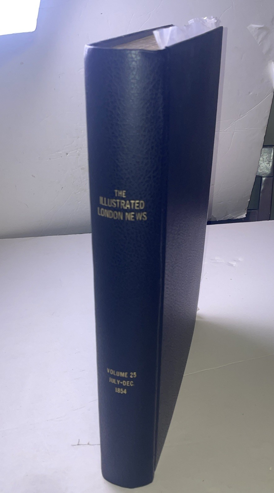 The Illustrated London News-Volume 25-July-Dec. 1854 Antique Rebound