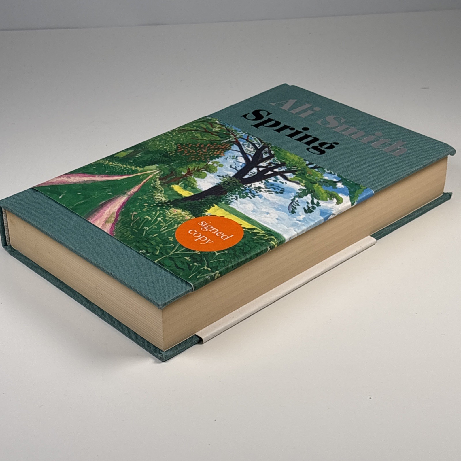 Ali Smith Spring Signed 1st Edition 1st Print 2019 HB Hamish Hamilton