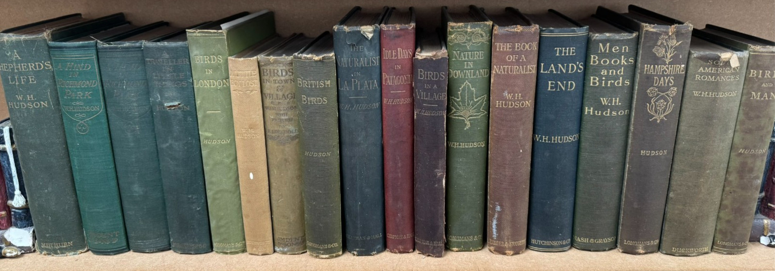 W H Hudson 18 Vintage 1st Edition Books 1880’s to 1900’s ID4497