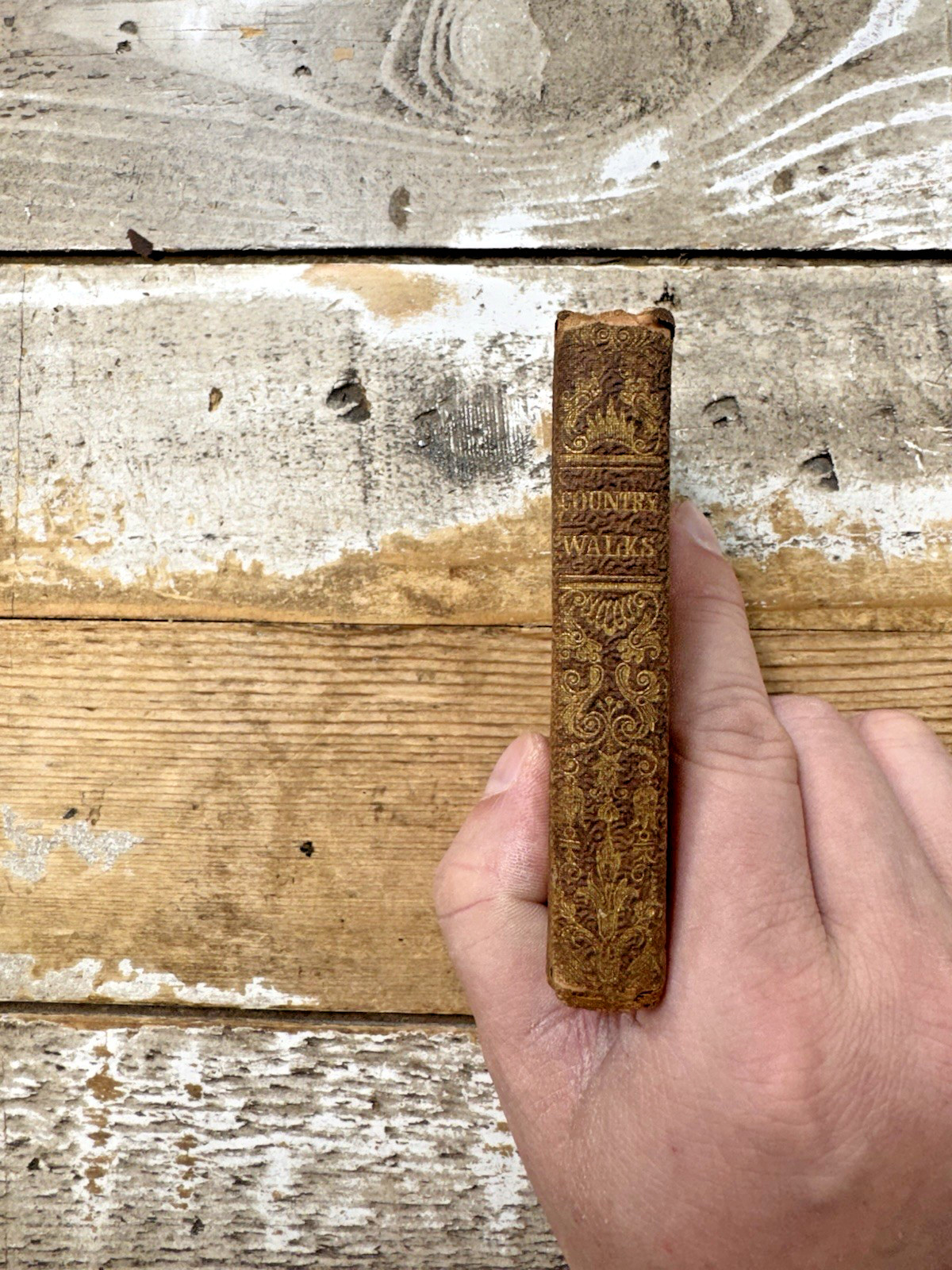 1843 Antique Children’s Book “Country Walks for Little Folks” Illustrated, Mini